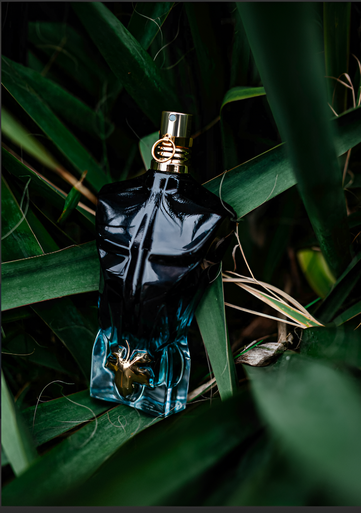 Summer Fragrances