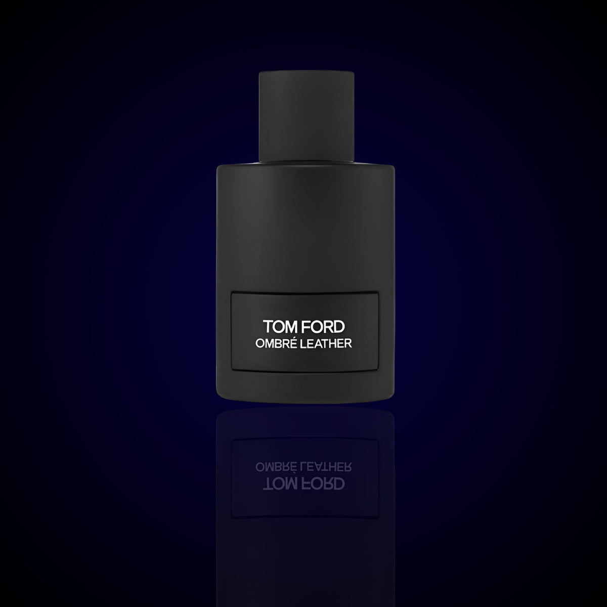 Ombré Leather-tom ford