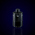 The Most Wanted Azzaro
