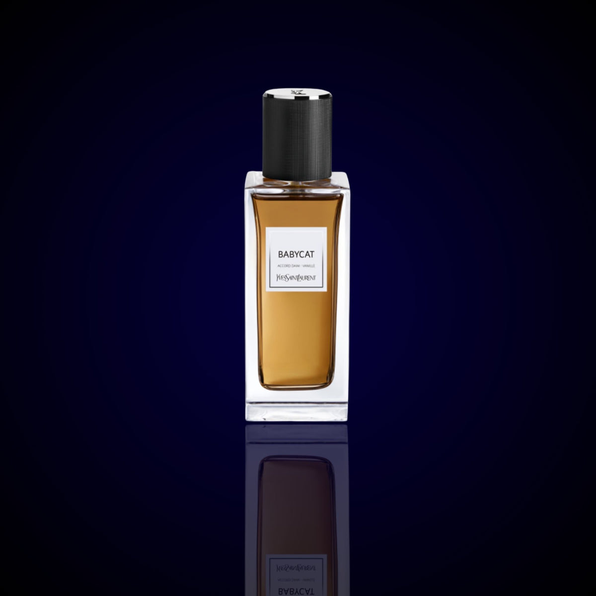 Babycat – Yves Saint Laurent